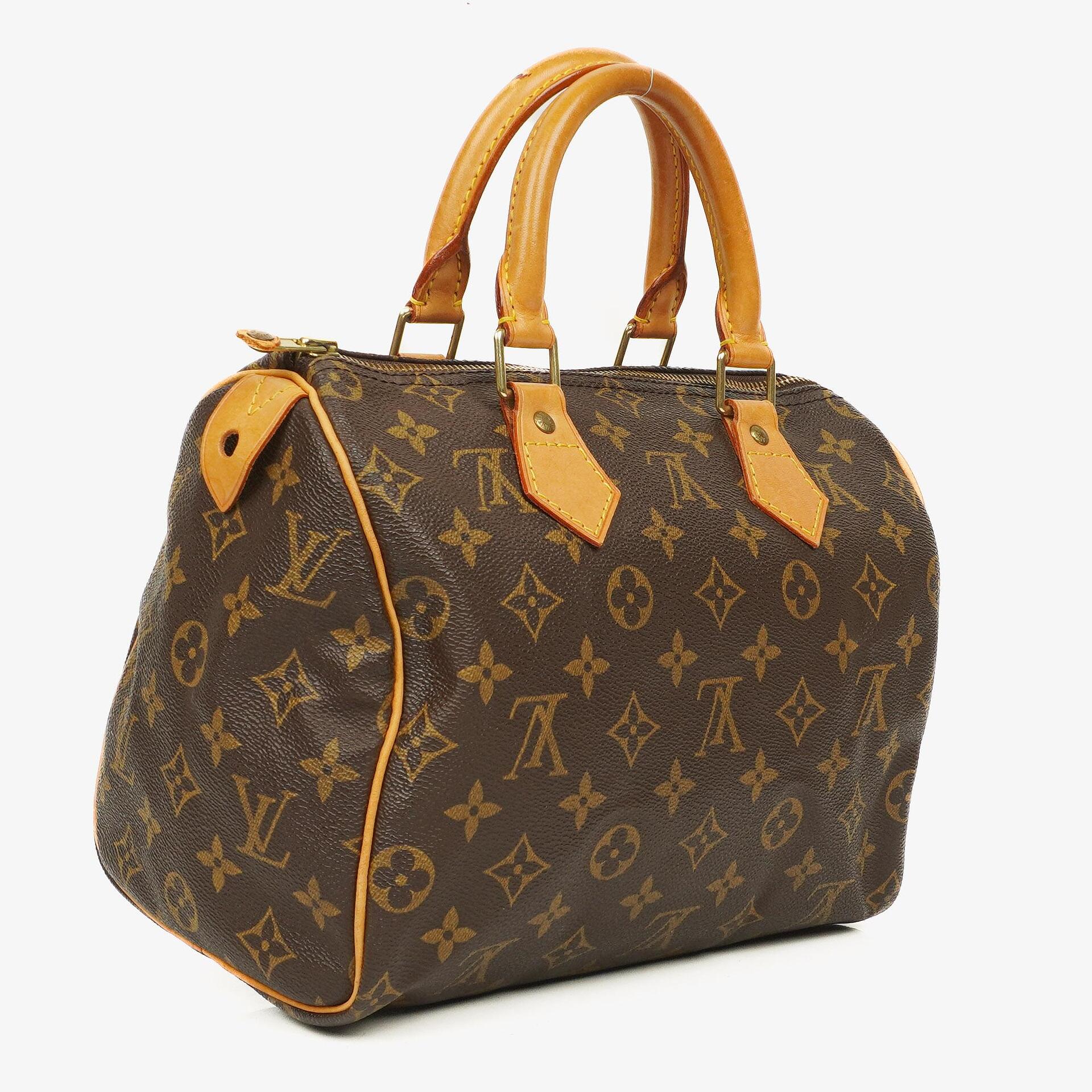 Louis Vuitton Speedy 25 Monogram Canvas Handbag