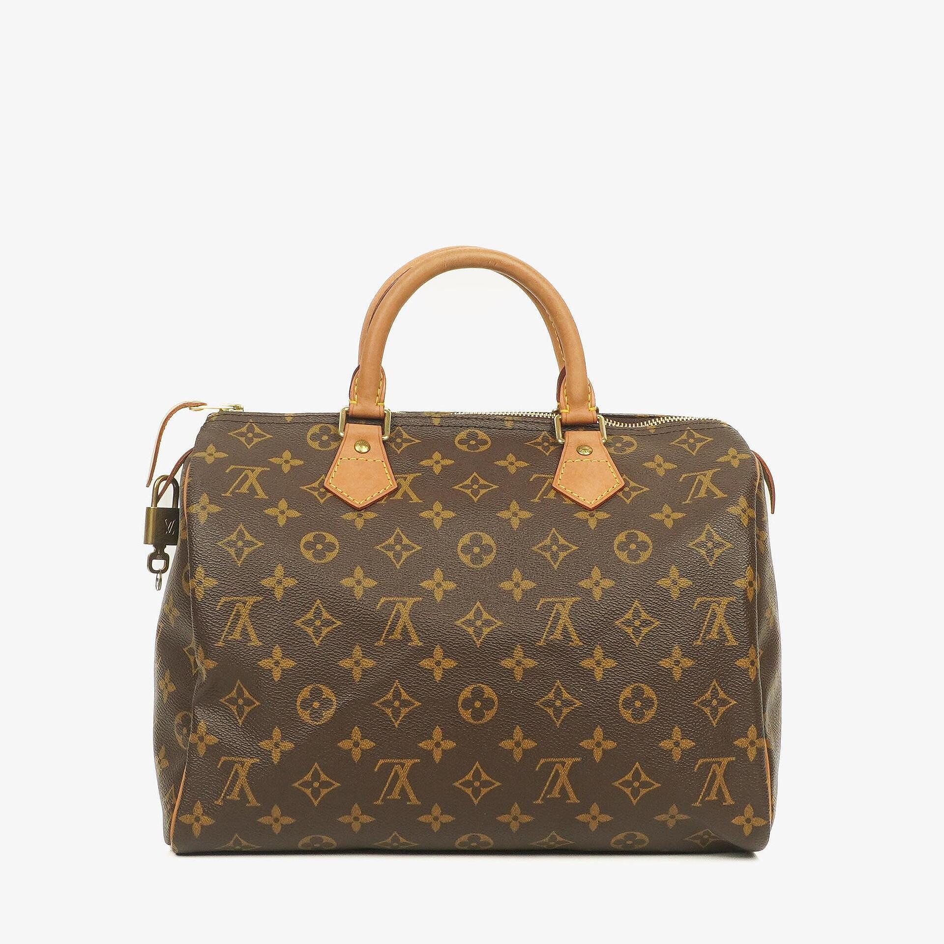 Louis Vuitton Speedy 30 Monogram Canvas Bag