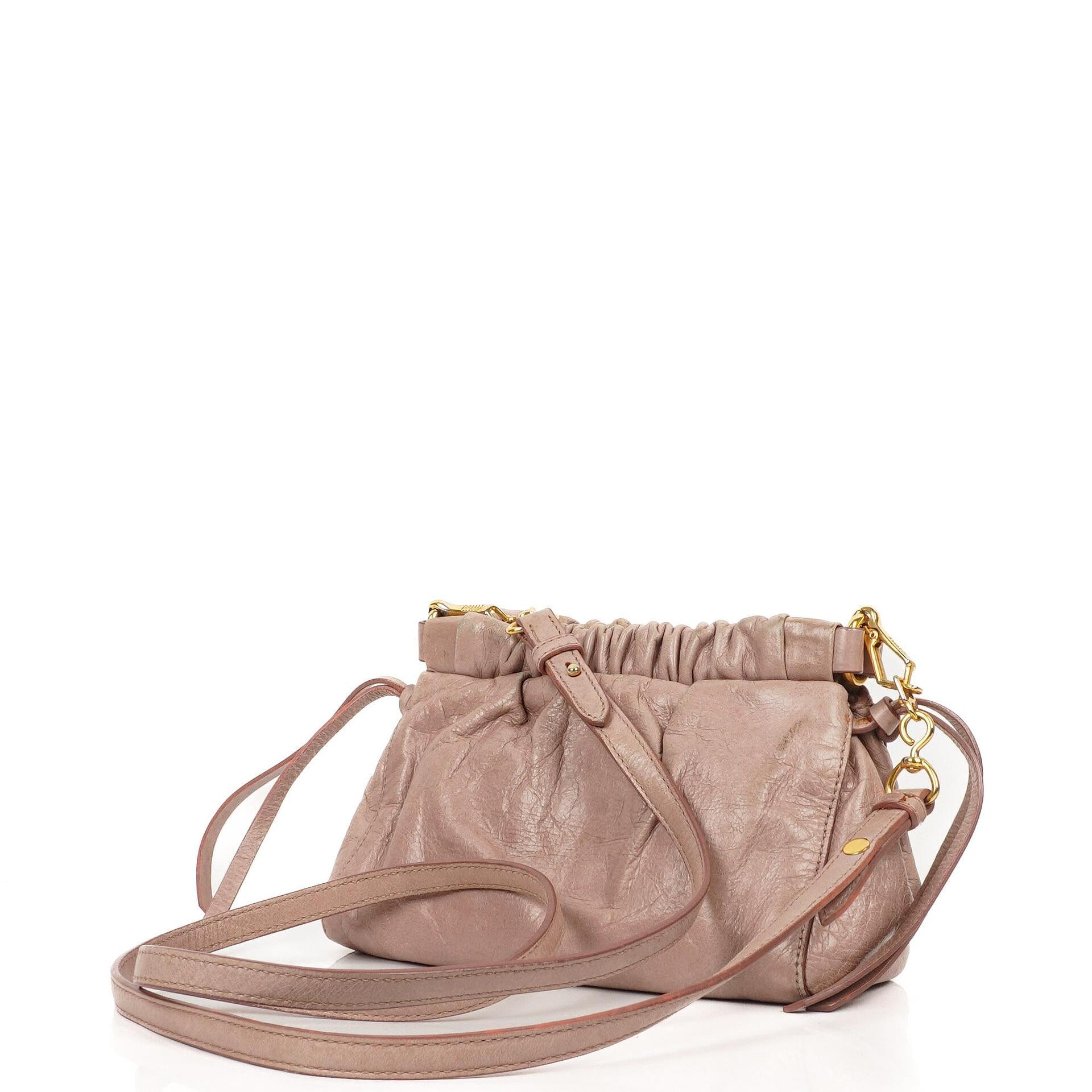 Miu Miu Vitello Shine Mughetto Crossbody Clutch Bag
