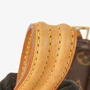 Louis Vuitton Viva-Cite Monogram Shoulder Bag