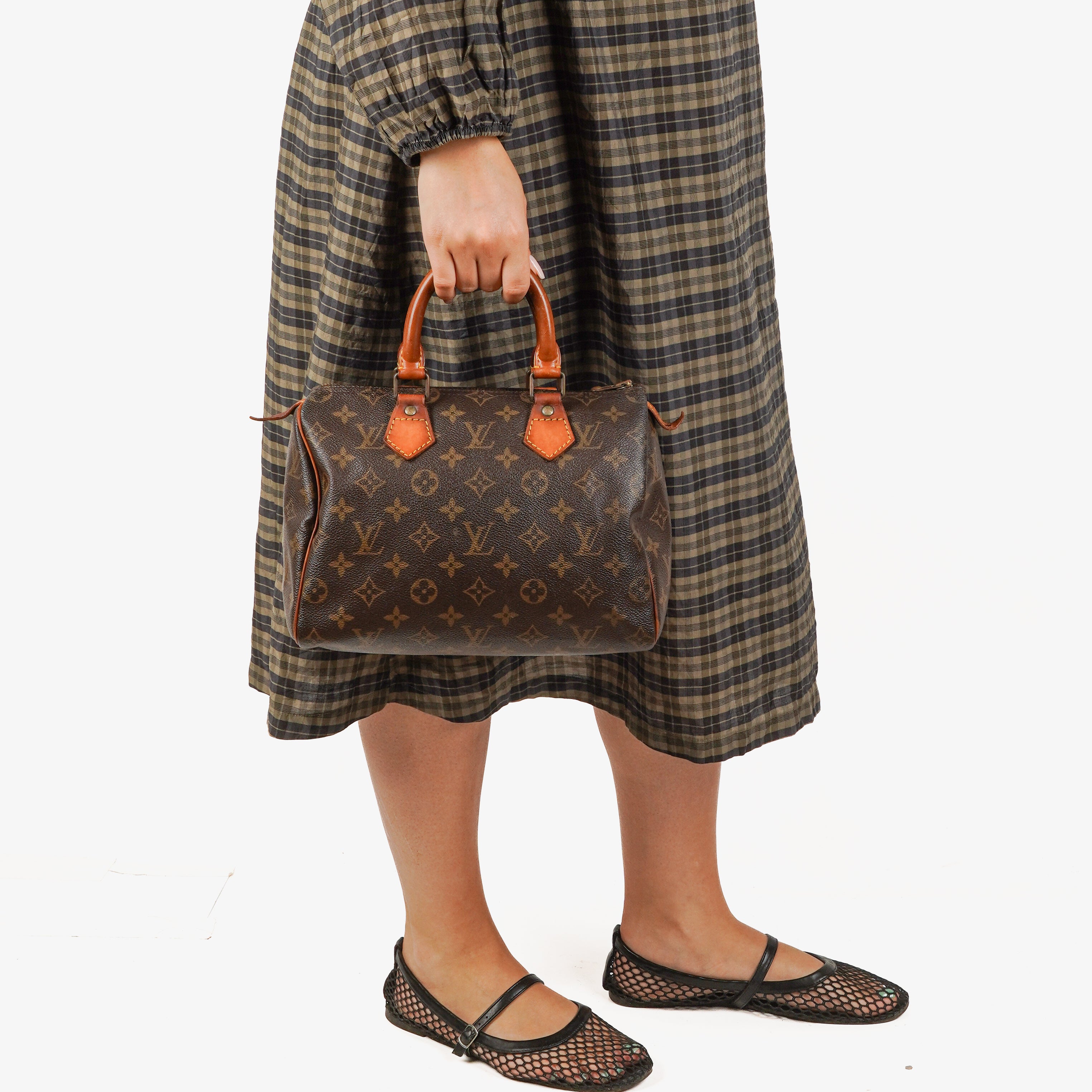 Louis Vuitton Speedy 25 Monogram Canvas Bag