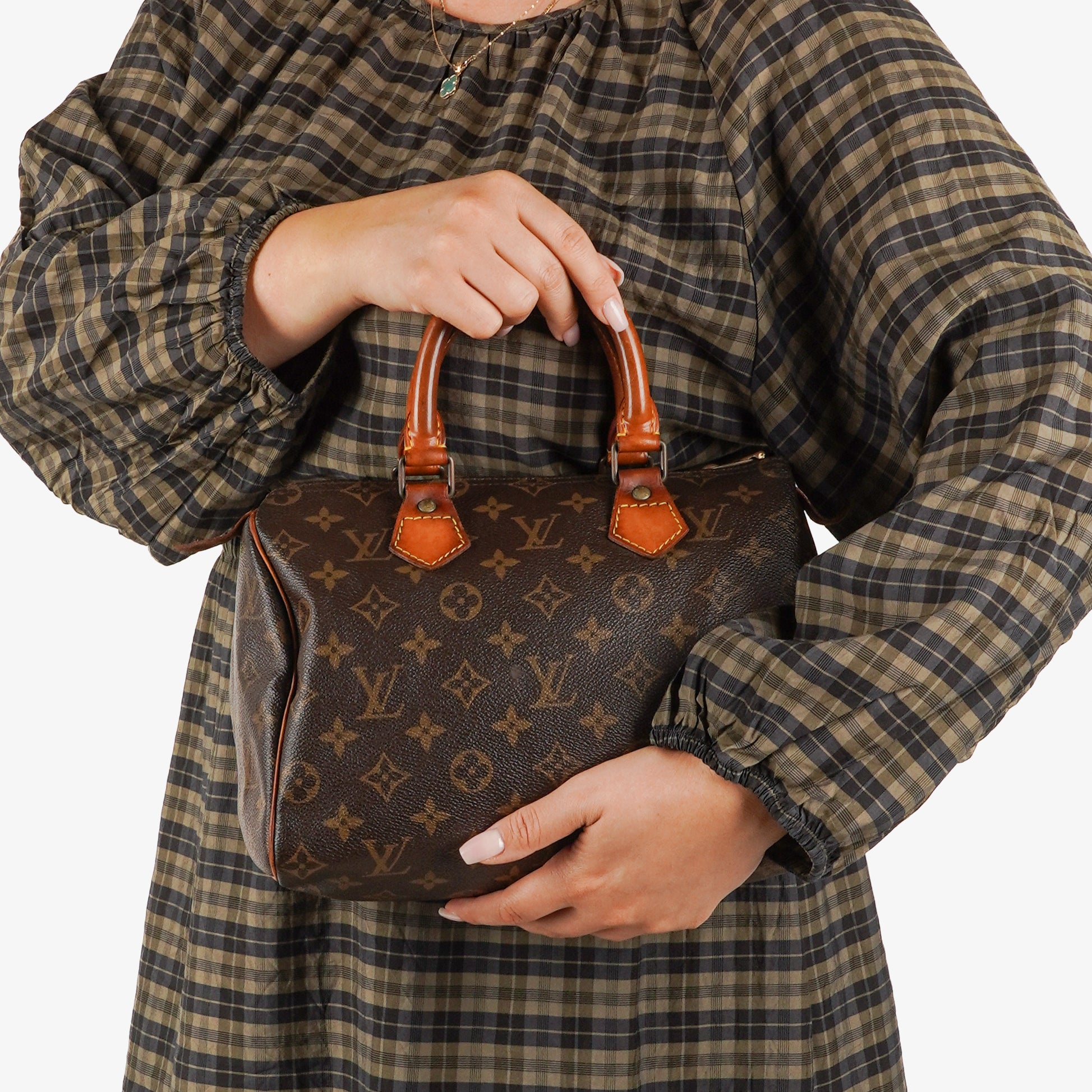 Louis Vuitton Speedy 25 Monogram Canvas Bag