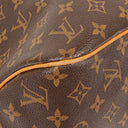 Louis Vuitton Delightful PM Monogram Canvas Bag