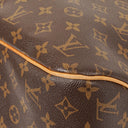 Louis Vuitton Delightful PM Monogram Canvas Bag