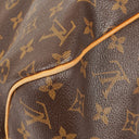 Louis Vuitton Delightful PM Monogram Canvas Bag
