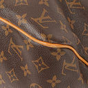 Louis Vuitton Delightful PM Monogram Canvas Bag