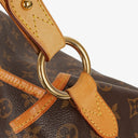 Louis Vuitton Delightful PM Monogram Canvas Bag