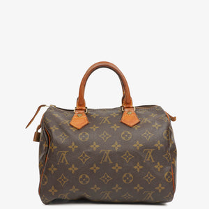 Louis Vuitton Speedy 25 Monogram Canvas Bag