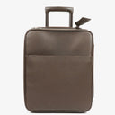 Louis Vuitton Pegase 45 Taiga Brown Grizzli Suitcase