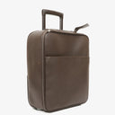 Louis Vuitton Pegase 45 Taiga Brown Grizzli Suitcase