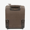 Louis Vuitton Pegase 45 Taiga Brown Grizzli Suitcase
