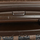 Louis Vuitton Pegase 45 Taiga Brown Grizzli Suitcase