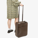 Louis Vuitton Pegase 45 Taiga Brown Grizzli Suitcase