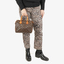 Louis Vuitton Speedy 25 Monogram Canvas Bag