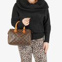 Louis Vuitton Speedy 25 Monogram Canvas Bag