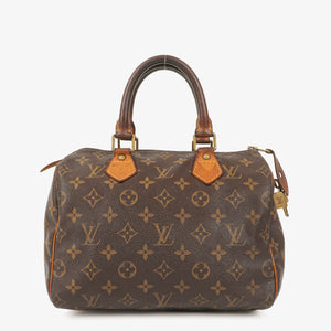 Louis Vuitton Speedy 25 Monogram Canvas Bag