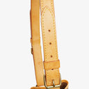 Louis Vuitton Noe GM Monogram Canvas Shoulder Bag