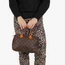 Louis Vuitton Speedy 25 Monogram Canvas Bag