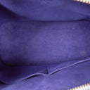 Louis Vuitton Purple/Figue Epi Leather Alma PM Handbag