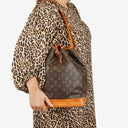 Louis Vuitton Noe GM Monogram Canvas Shoulder Bag