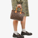 Louis Vuitton Speedy 25 Monogram Canvas Bag
