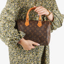 Louis Vuitton Speedy 25 Monogram Canvas Bag