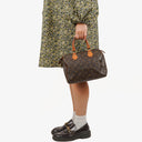 Louis Vuitton Speedy 25 Monogram Canvas Bag