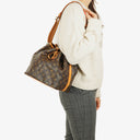 Louis Vuitton Petit Noe Monogram Canvas Shoulder Bag