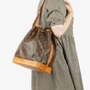 Louis Vuitton Noe GM Monogram Canvas Shoulder Bag