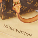 Louis Vuitton Nano Speedy Monogram Canvas Mini Bag