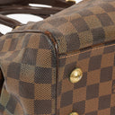 Louis Vuitton Trevi PM Damier Canvas Bag