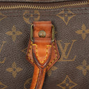 Louis Vuitton Speedy 25 Monogram Canvas Bag
