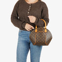 Louis Vuitton Monogram Canvas Ellipse PM Bag