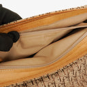 Christian Dior Beige Diorissimo Small Shoulder Bag