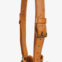Louis Vuitton Petit Noe Monogram Canvas Shoulder Bag