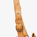 Louis Vuitton Noe GM Monogram Canvas Shoulder Bag