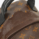 Louis Vuitton Reverse Monogram Canvas Palm Springs PM Backpack