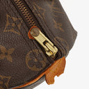 Louis Vuitton Speedy 25 Monogram Canvas Bag