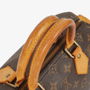 Louis Vuitton Speedy 25 Monogram Canvas Bag