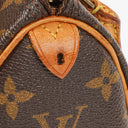 Louis Vuitton Nano Speedy Monogram Canvas Mini Bag