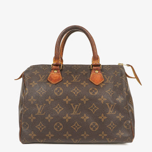 Louis Vuitton Speedy 25 Monogram Canvas Bag