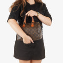 Louis Vuitton Speedy 25 Monogram Canvas Bag