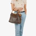 Louis Vuitton Delightful PM Monogram Canvas Bag