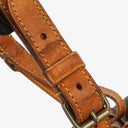 Louis Vuitton Petit Noe Monogram Canvas Shoulder Bag