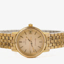 Omega Seamaster 22mm Gold-Plated Stainless Steel Quartz Watch