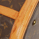 Louis Vuitton Bucket Monogram Canvas Bag