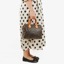 Louis Vuitton Speedy 25 Monogram Canvas Bag