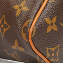 Louis Vuitton Nano Speedy Monogram Canvas Mini Bag