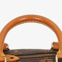 Louis Vuitton Nano Speedy Monogram Canvas Mini Bag