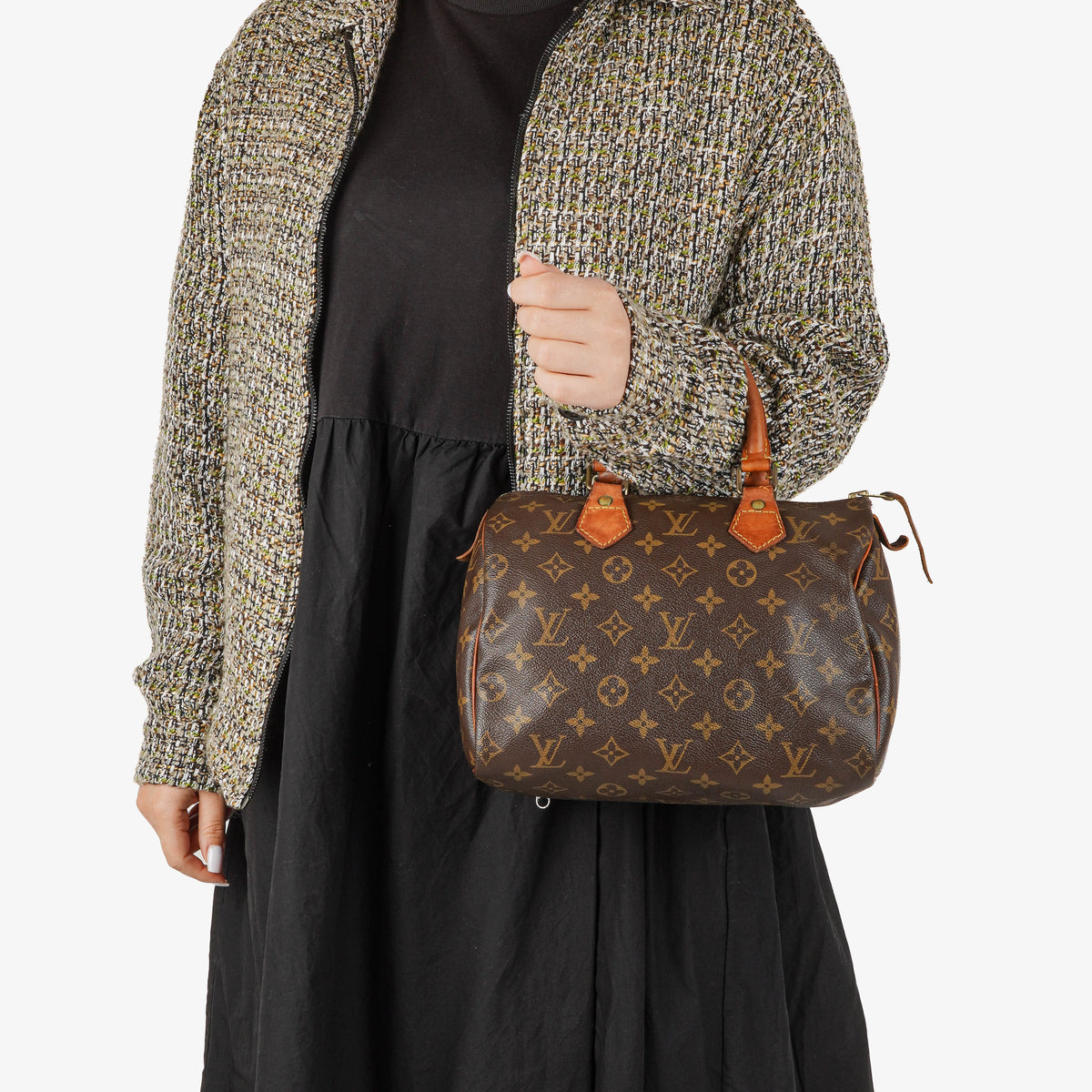 Louis Vuitton Speedy 25 Monogram Canvas Bag